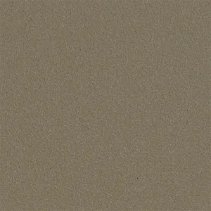 Sahara