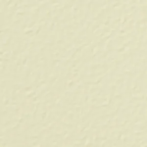 Textured Ivory