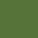 Ral-6025
